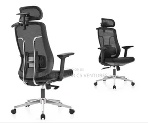 Ergonomic Chair