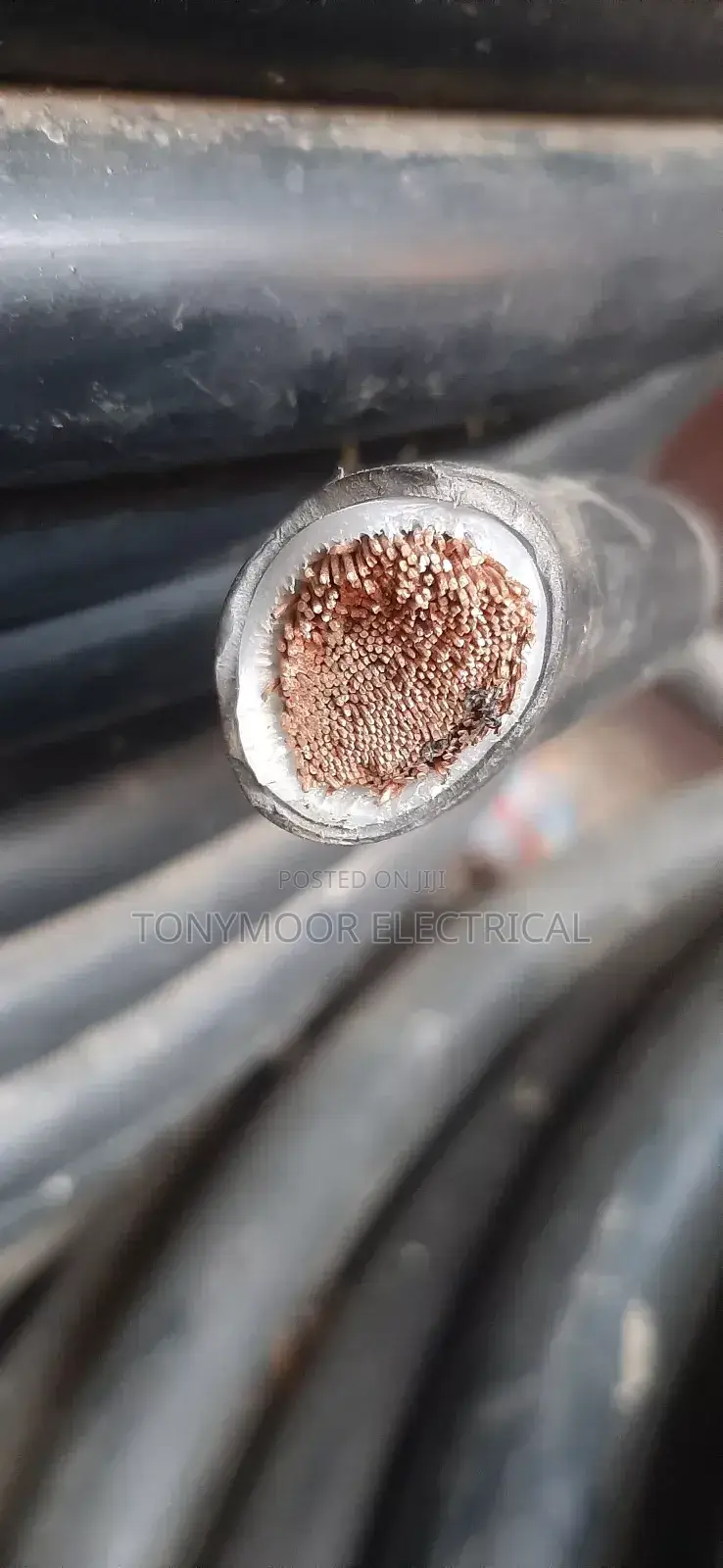 150mm Single Flex Cable