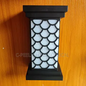 Outdoor Light