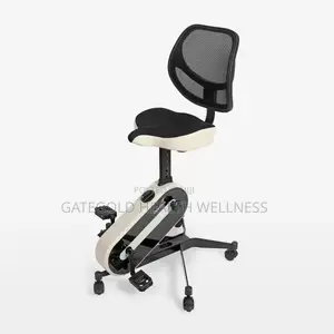 Magnetic Bike HG5806 Office Bike