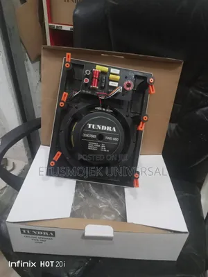 High Quality Tundra on-Wall Speaker
