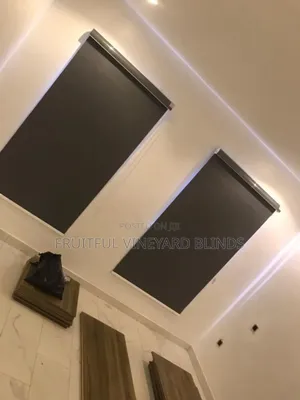 Elegant Window Blind
