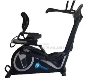 Cross Recumbent Bike HG6813
