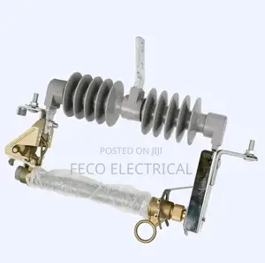 Silicon D Fuse