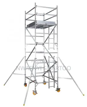 Scaffolding Ladder