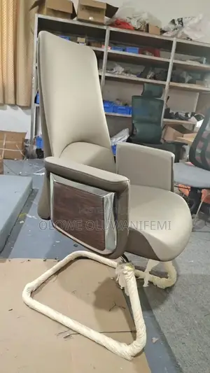 Porch Luxurious Standard Visitors Office Chair