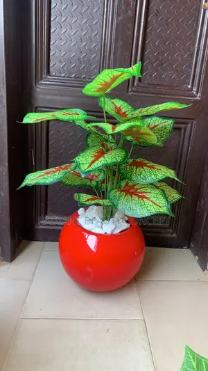 Red Fibre Pot With Fixing Flower Plant