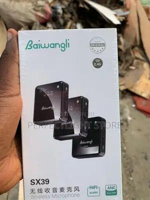 Wireless Mic