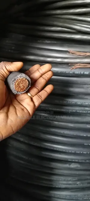 300mmx1core Armoured Cable