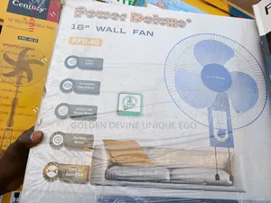 Power Deluxe Wall Fan