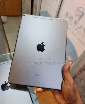 Apple iPad mini 5 64 GB Gray