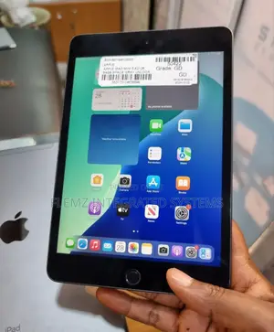 Apple iPad mini 5 64 GB Gray