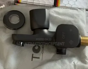 Wall Tap With Hand Shower