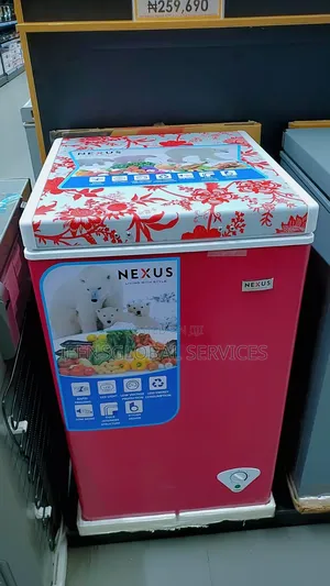 Nexus 2feet Freezer