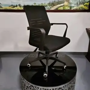 Adjustable Desk Chair.