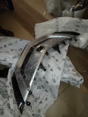 Front Grille Acura ZDX 010