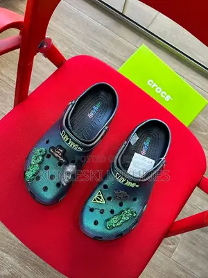 New Harry Potter Crocs
