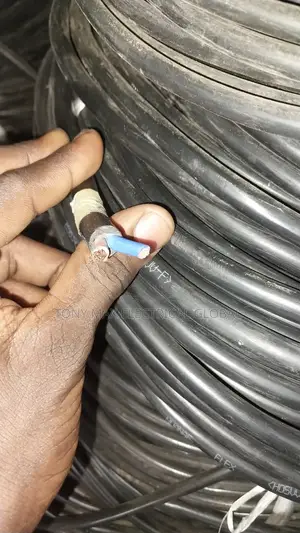 2.5mm 2core Electric Flexible Cable Original Cooper