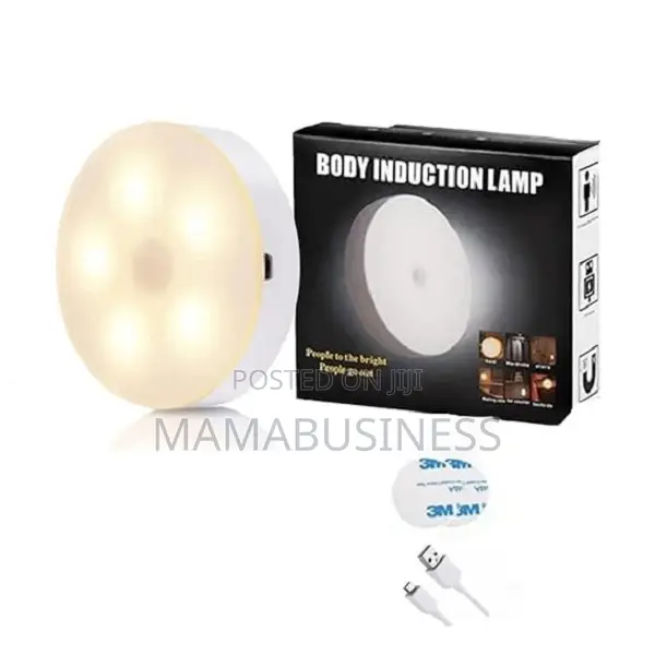 LED Lamp, Body Induction Light