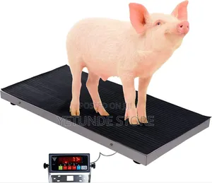 Pet Scale Digital Weighing Equipment Dog Goat Pig Sheep Calf