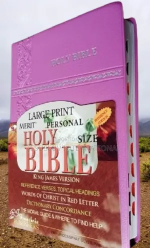 KJV Large Print Merit Reference Edition Bible Pink Leather