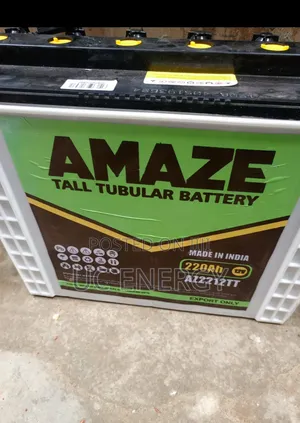 220A Amaze Tubular Battery 12V