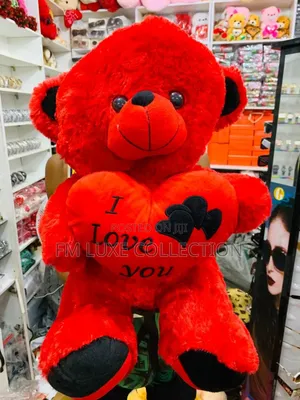 50cm Teddy Bear