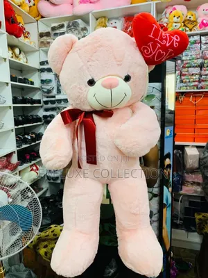 80cm Teddy Bear/Pet