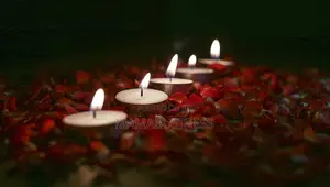 Unscented Tea Lights Candles (50 Pcs)