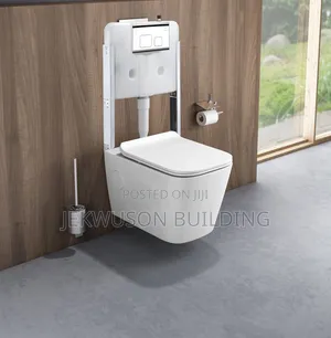 Sweethome Quality Concealed Wall Hang Wc