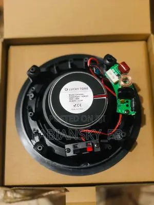 Original Ceiling Speaker 60watts, Lucky Tone Prod