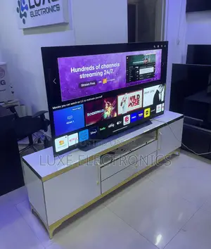 65 Inches Lg Oled Evo Smart Tv With Free Netflix Login