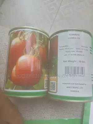 COBRA 26 F1 Tomato With High Productivity