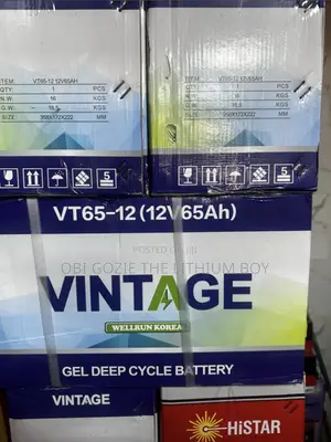 12v-65ah Vintage Solar Gel Battery. Best Vintage Importer