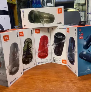 JBL Flip 6 Speaker