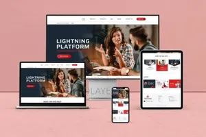 Professional Website Designer