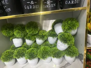 Mini Flowers