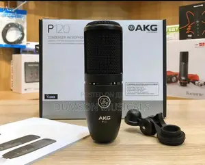 Akg Studio Condenser Mic P120