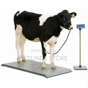 Veterinary Scale for Pet and Animals