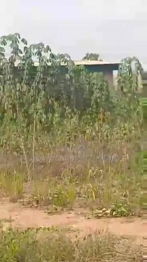 (22.876 Acres )9.281 Hectare of Farmland for Sale