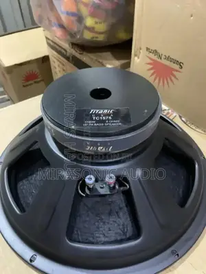Titanic 15"Big Magnet Naked Speaker