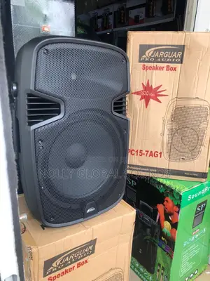 Jaguar Rechargeable Public Addressing System With 2 Mics