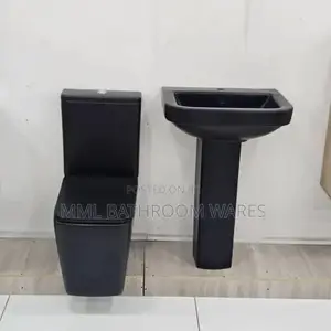Square Shape Black Toilet Seats With Black Pedestal Basin