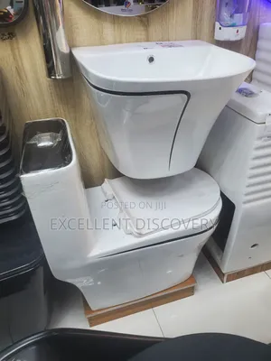 Execitive Master Toilet Black Line LDV