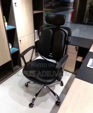 Kidney Ergonomic Office Chair for Waste Pain