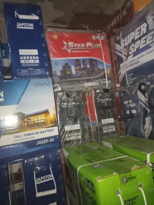 Japston Tubular Inverter Battery