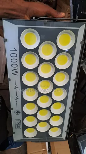 1000w Electric Flood Light for Estates/ Companies/ Factories
