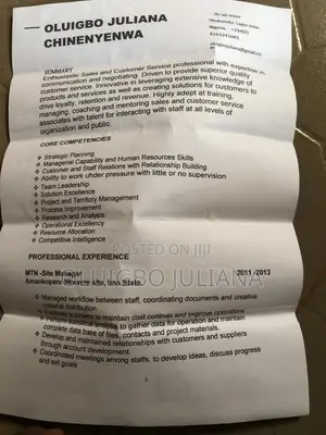 Accounting Finance CV