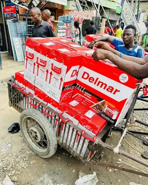 220ah Delmar Tubular Battery