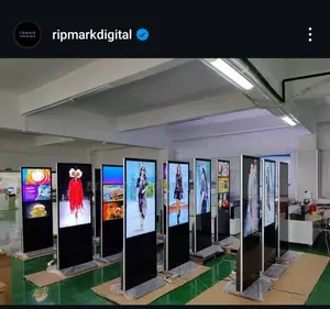 55 Inches Non Touch Screen